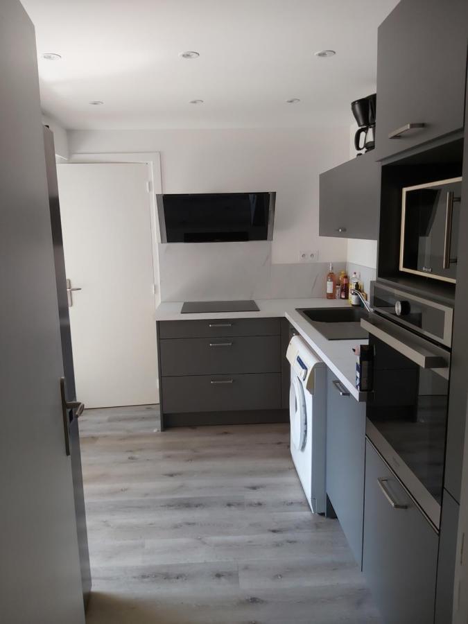 Grand T3 Piscine, Garage Centre Port Apartment Agde Ngoại thất bức ảnh
